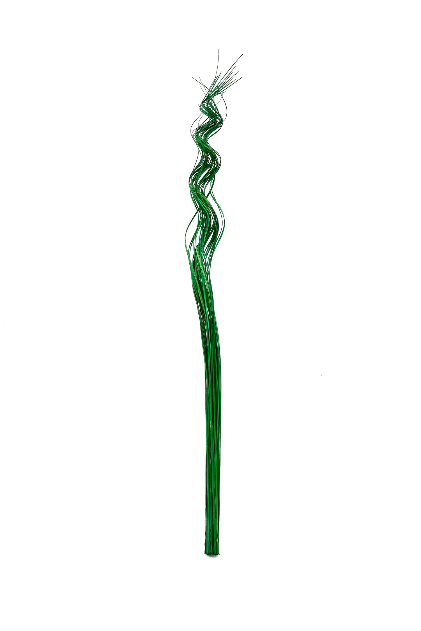 2-Pack Rattan Sticks for Floor Vases – Natural Decorative Twigs ( 8 per Bundle)