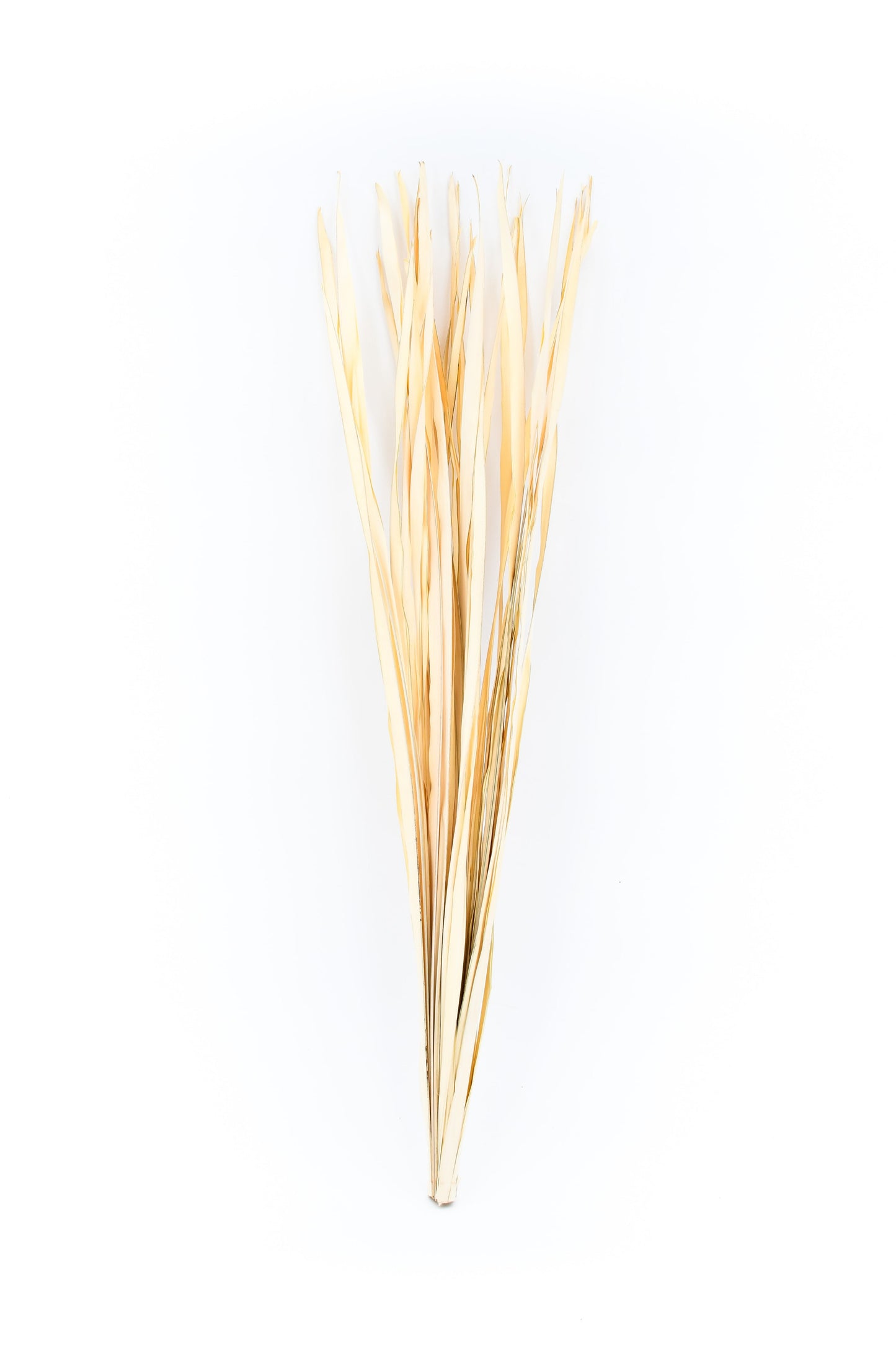 2-Pack Rattan Sticks for Floor Vases – Natural Decorative Twigs ( 8 per Bundle)