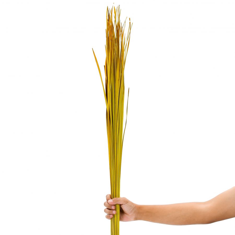 Leewadee Décoration Vase Sol - Herbes Séchées 115 cm Matériau Naturel, Set 2 Bouquets
