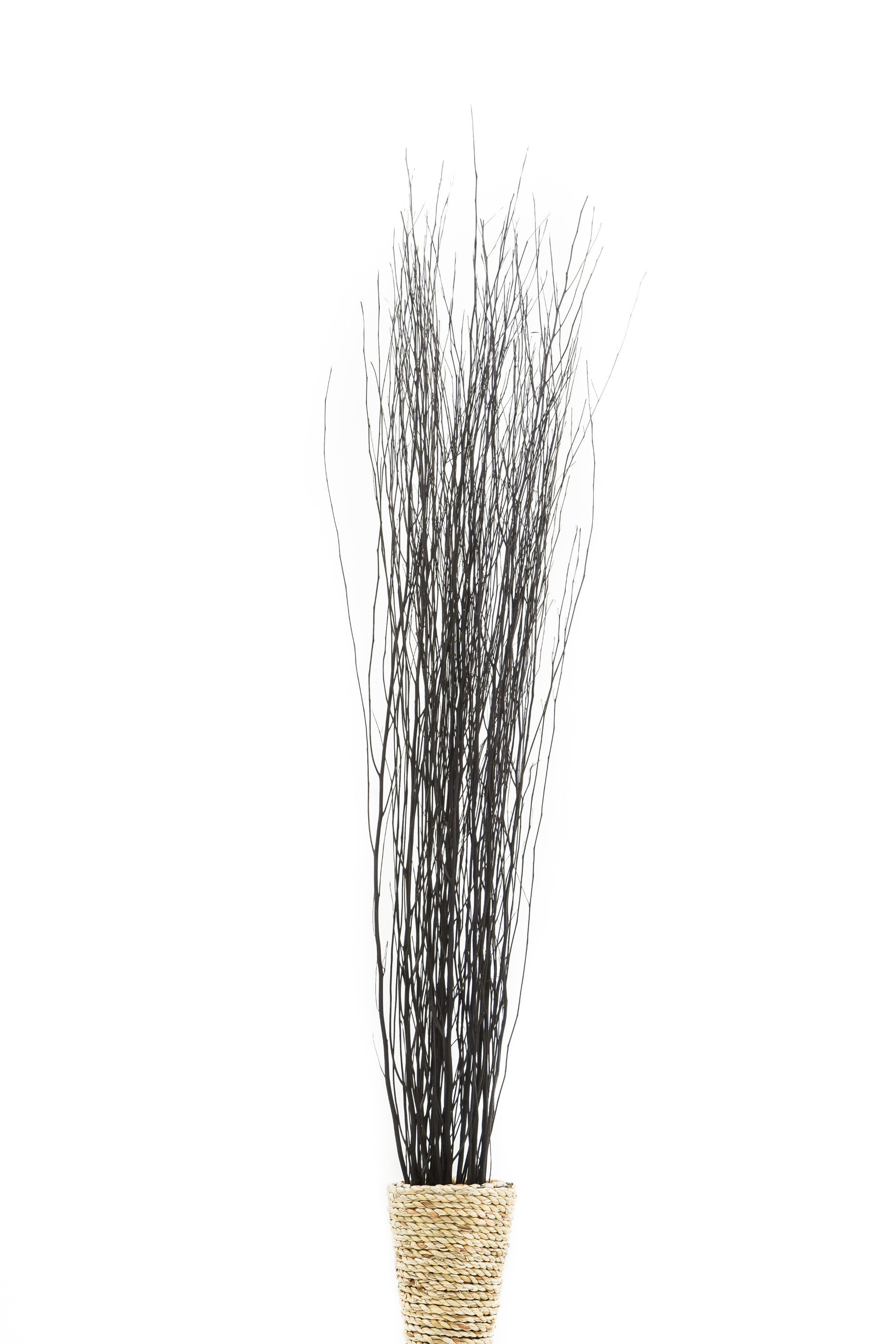 2-Pack Rattan Sticks for Floor Vases – Natural Decorative Twigs ( 8 per Bundle), black brown, Rattan Branches
