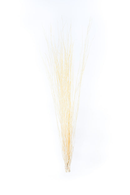2-Pack Rattan Sticks for Floor Vases – Natural Decorative Twigs ( 8 per Bundle)