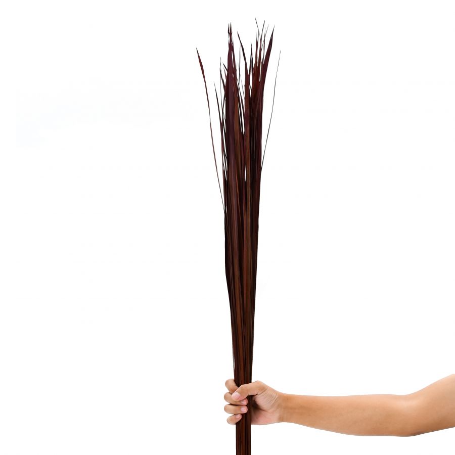 Leewadee Dekoration für Bodenvasen - Dekogras Trockengesteck 115 cm aus Naturmaterial, 2 Bündel Set