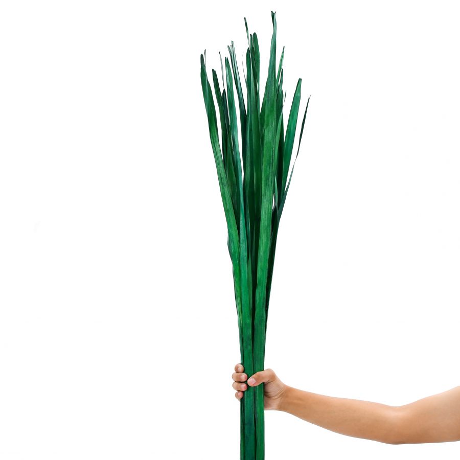 Leewadee Decoración Jarrón Suelo - Hojas de Palma Secas 115 cm Natural, Set 2 Ramos