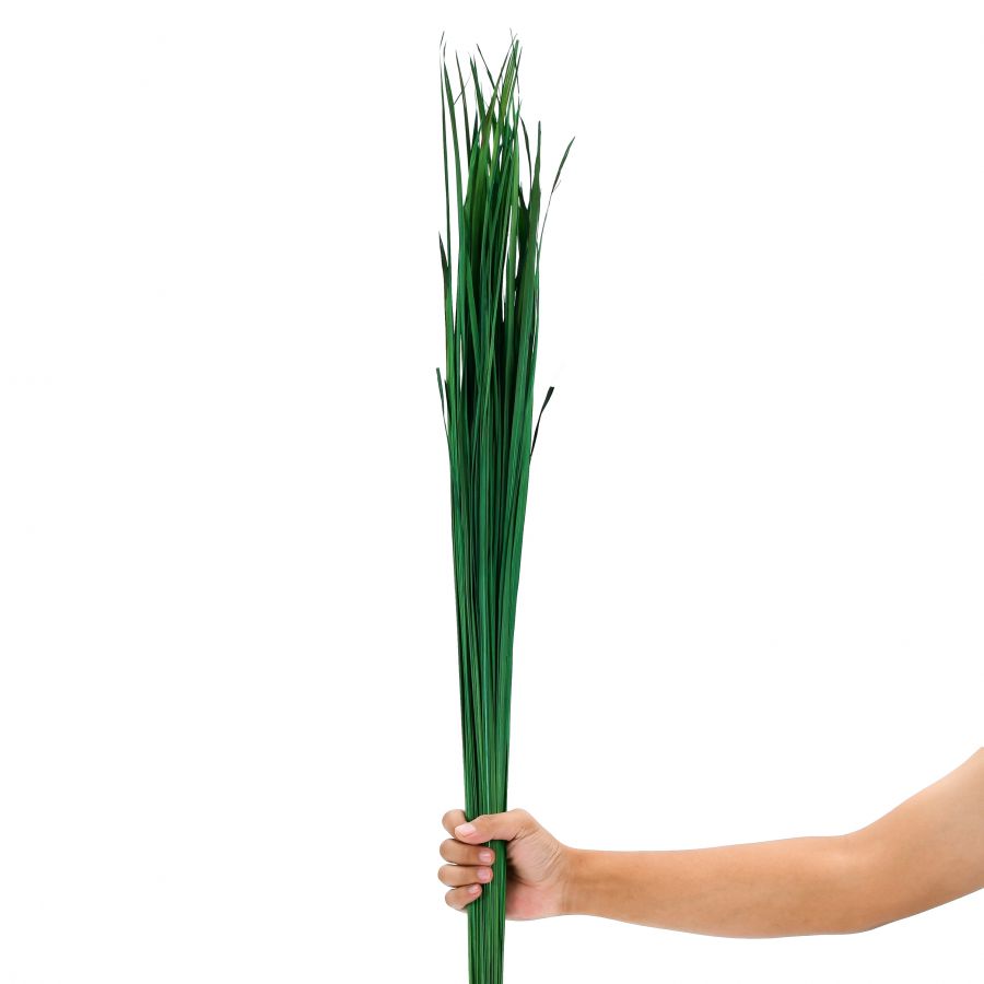 Leewadee Decoración Jarrón Suelo - Hierba Seca 115 cm Material Natural, Set 2 Ramos