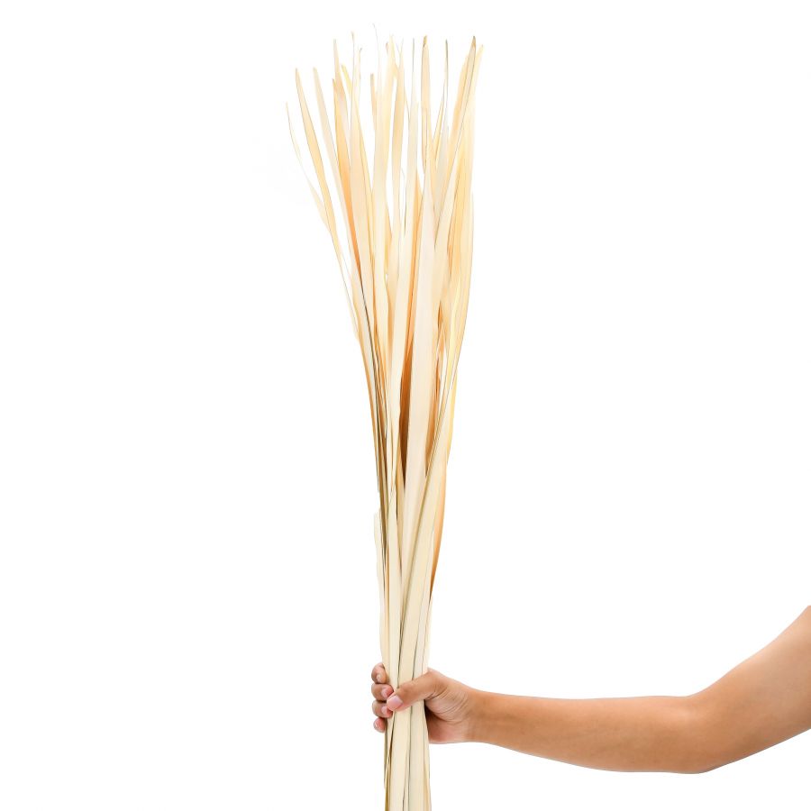 Leewadee Decorazione Vaso Terra - Foglie di Palma Secche 115 cm Naturale, Set 2 Mazzi