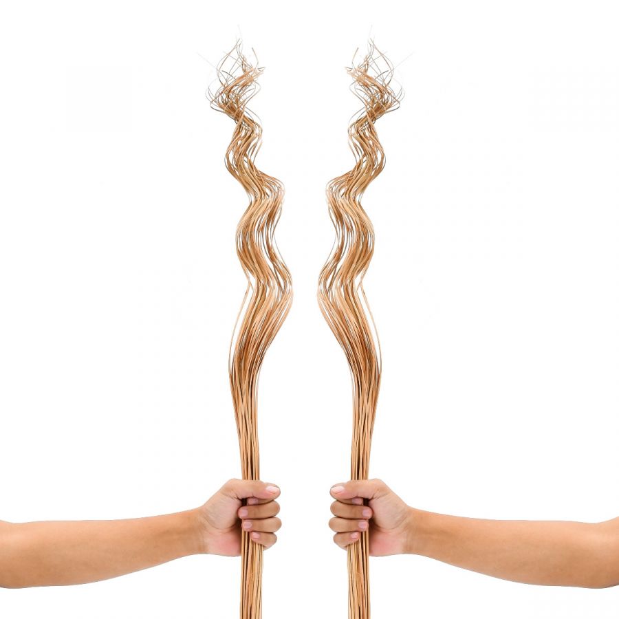 Leewadee Floor Vase Decor - Dried Wavy Stems Corkscrew Look 39 inches Natural Material, Set of 2 Bundles