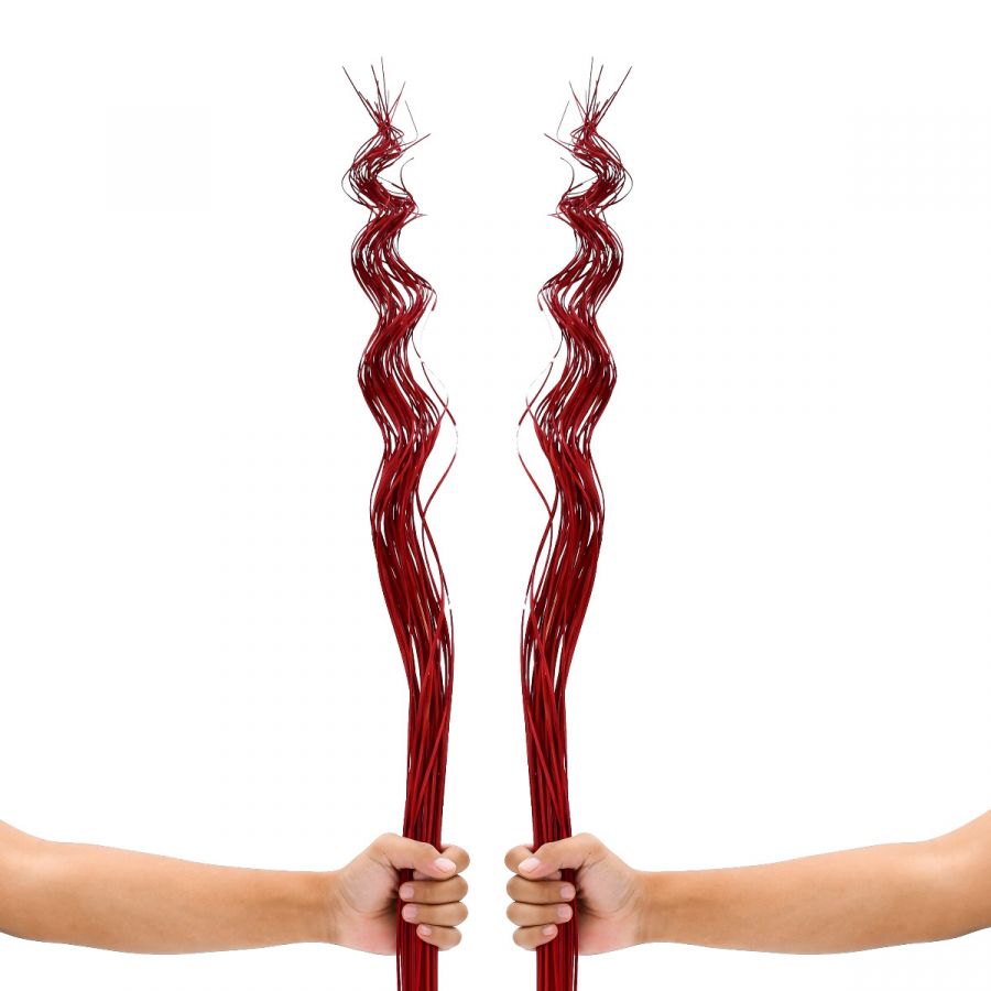 Leewadee Floor Vase Decor - Dried Wavy Stems Corkscrew Look 39 inches Natural Material, Set of 2 Bundles