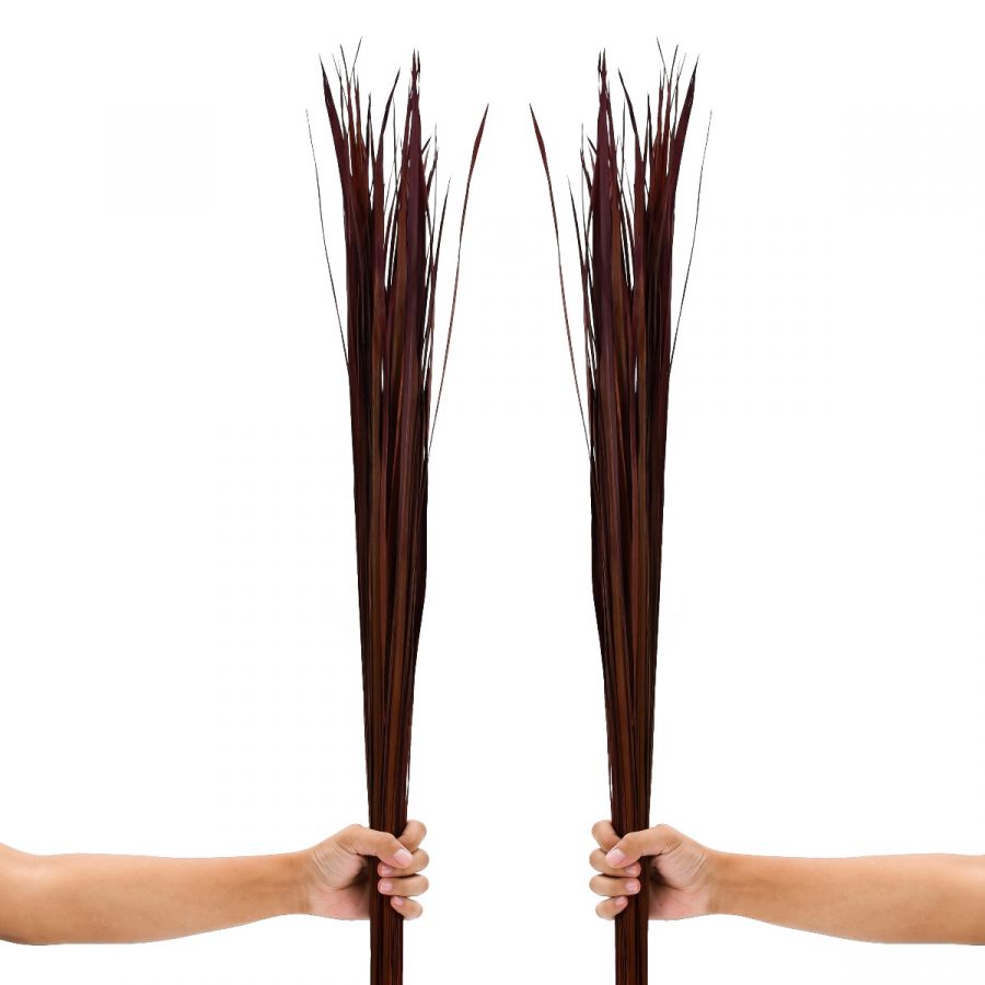 Leewadee Floor Vase Decor - Dried Grass Stems 45 inches Natural Material, Set of 2 Bundles
