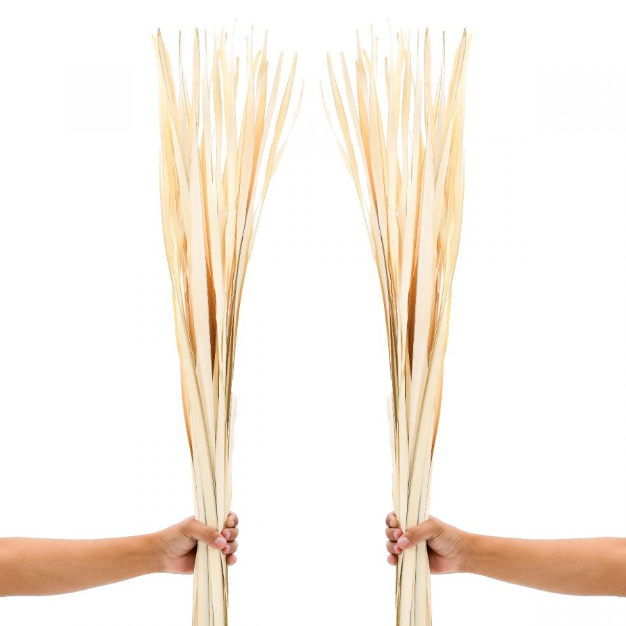 Leewadee Floor Vase Decor - Dried Palm Leaf Stems 45 inches Natural Material, Set of 2 Bundles