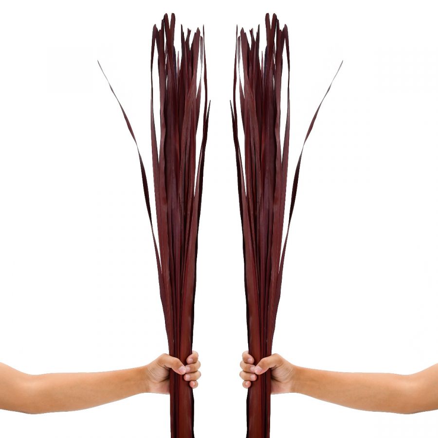 Leewadee Floor Vase Decor - Dried Palm Leaf Stems 45 inches Natural Material, Set of 2 Bundles