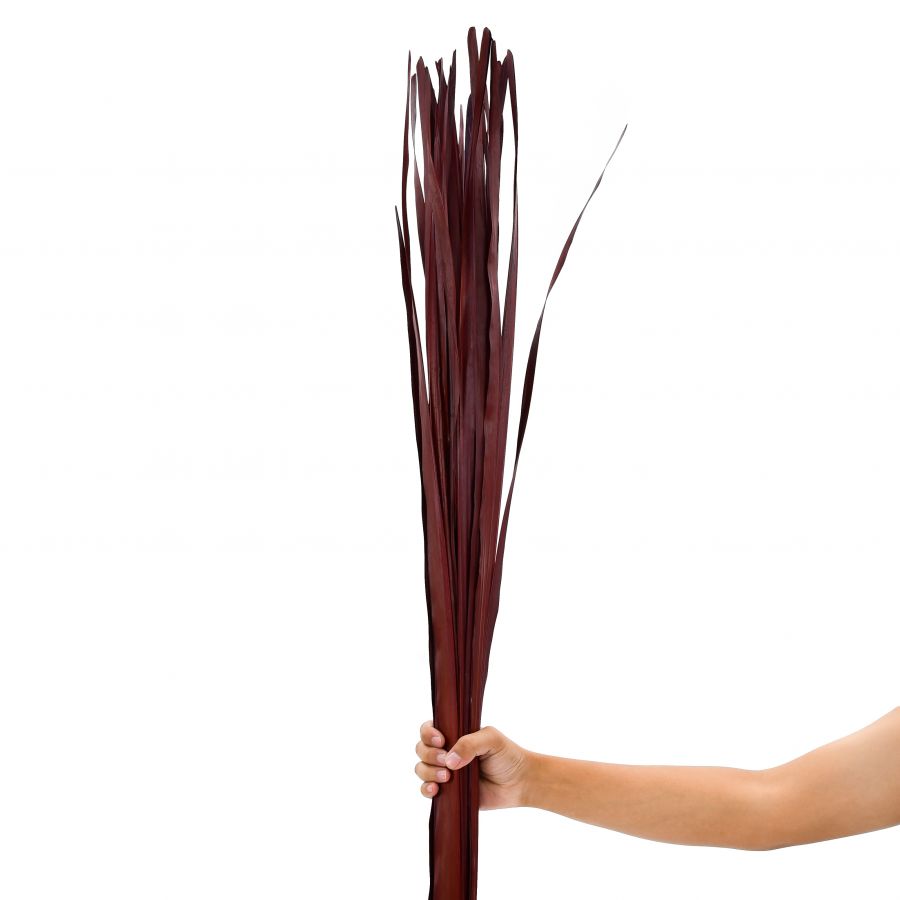 Leewadee Floor Vase Decor - Dried Palm Leaf Stems 45 inches Natural Material, Set of 2 Bundles
