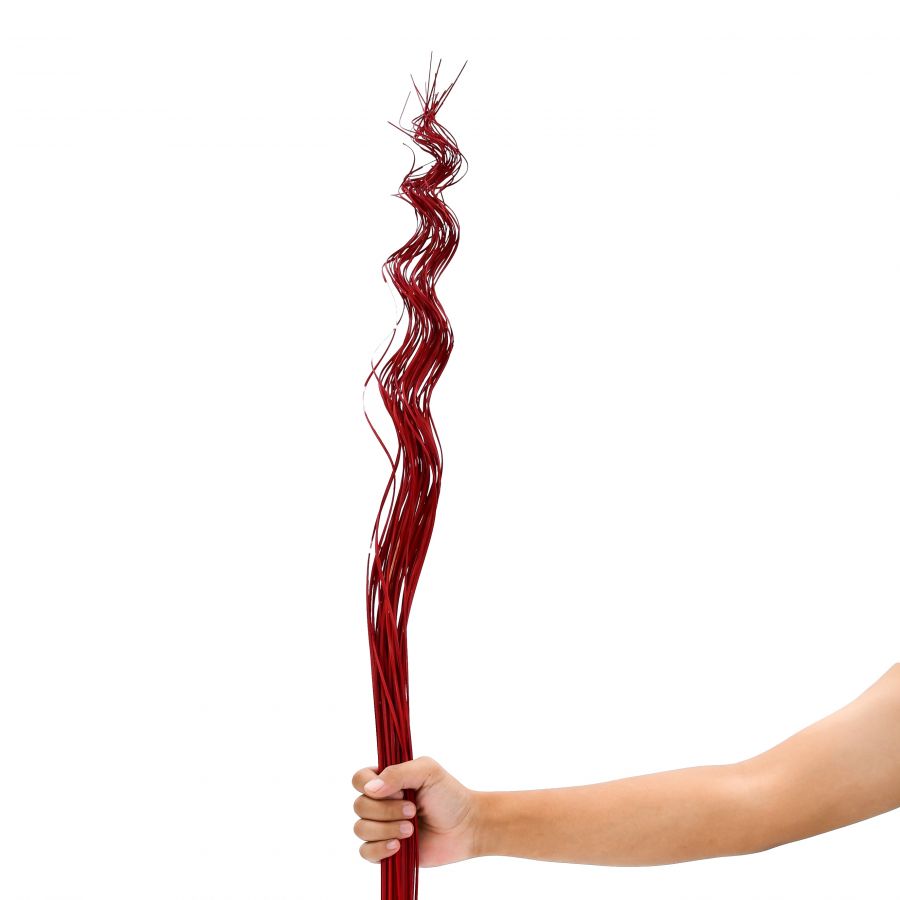 Leewadee Floor Vase Decor - Dried Wavy Stems Corkscrew Look 39 inches Natural Material, Set of 2 Bundles