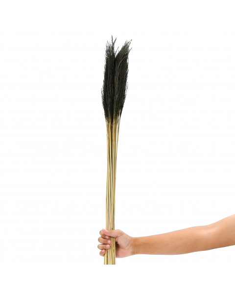 Leewadee Decorative Twigs – Naturally Dried and Colored Grass Stems for Vases, Loose Grass Weeds for Home and Business Decoration, 47 inches, black