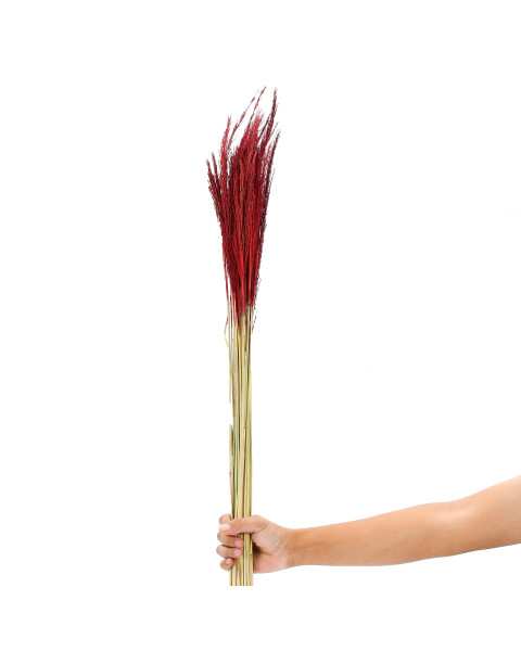 Leewadee Decorative Twigs – Naturally Dried and Colored Grass Stems for Vases, Loose Grass Weeds for Home and Business Decoration, 47 inches, red