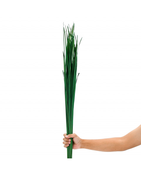 Leewadee racimo secado para florero de suelo – 60 ramas largas y sueltas, ramo decorativo para adornar viviendas o restaurantes, 120 cm, Verde