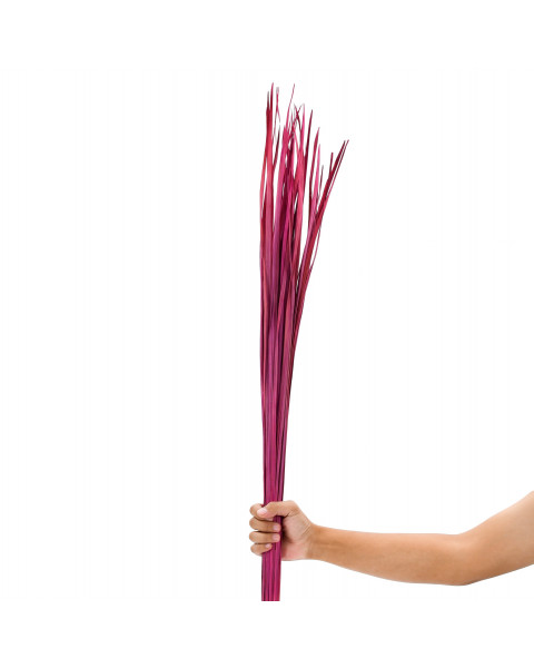 Leewadee Natural Grass Stems – Loose and Colored Decorative Branches for Vases, Carefully Dried Twigs for Home and Bar Decoration, 47 inches, pink