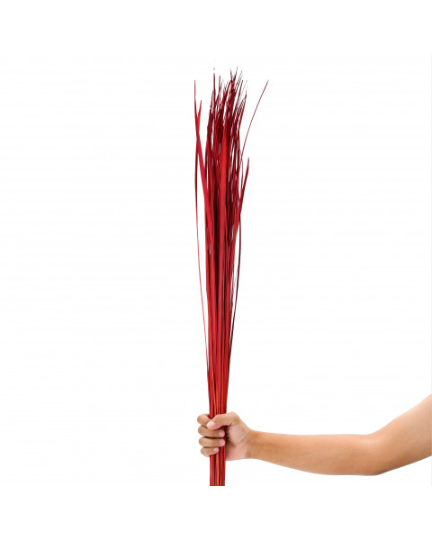 Leewadee Grass Stems – Loose and Colored Decorative Branches for Vases, Carefully Dried Twigs for Home and Bar Decoration, 120 cm, Red