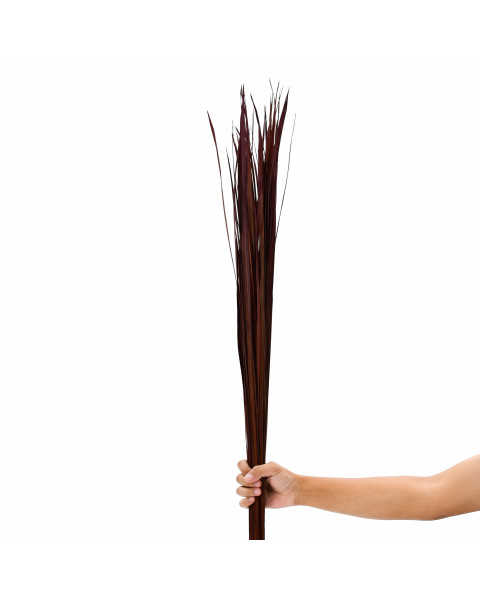 Leewadee racimo secado para florero de suelo – 60 ramas largas y sueltas, ramo decorativo para adornar viviendas o restaurantes, 120 cm, Burdeos