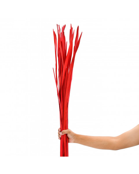 Leewadee Palm Leaves – Loose and Colored Decor Twigs for Floor Vases, Naturally Dried Arrangements for Home and Business Decorations, 47 inches, red