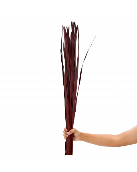 Leewadee mazzo di foglie di palma: 20 foglie di palma essiccate e sciolte, bouquet decorativo per adornare sale o ricevimenti, 120 cm, Rosso Bordeaux