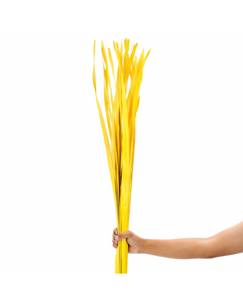 Leewadee mazzo di foglie di palma: 20 foglie di palma essiccate e sciolte, bouquet decorativo per adornare sale o ricevimenti, 120 cm, Giallo