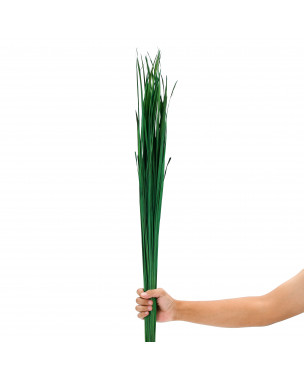 Leewadee Natural Grass Stems – Loose and Colored Decorative Branches for Vases, Carefully Dried Twigs for Home and Bar Decoration, 47 inches, green