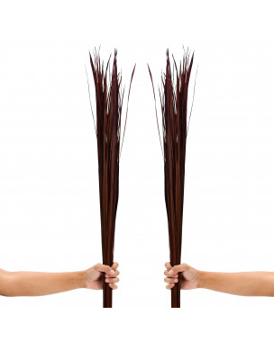 Leewadee Dekoration für Bodenvasen, 2 Bündel Getrocknetes und Coloriertes Natur-Gras, Trockenblumenstrauß Für Wohnzimmerdeko, 115 cm, Bordeaux