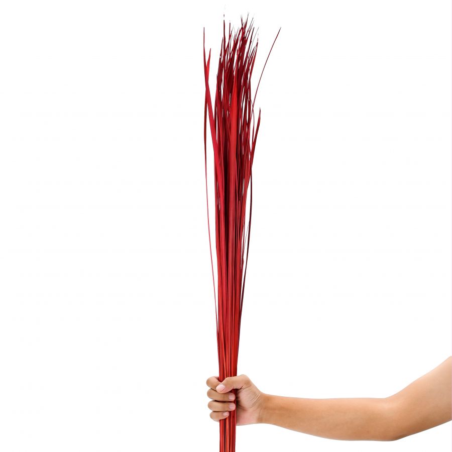 Leewadee Vloervaas Decoratie - Gedroogd Siergras 115 cm Natuurlijk Materiaal, Set 2 Bundels