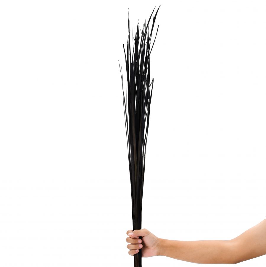 Leewadee Dekoracja Wazon Podłogowy - Suszona Trawa Ozdobna 115 cm Naturalna, Zestaw 2 Pęczków
